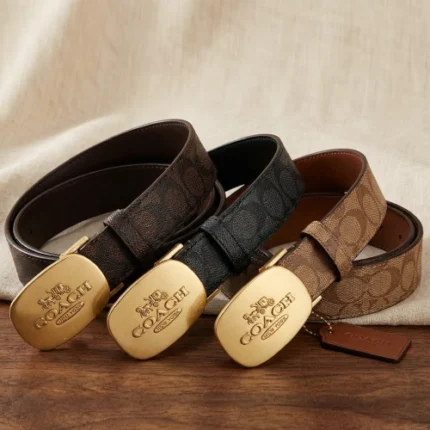 Ceinture Boucle Plaque