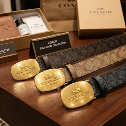 Ceinture Boucle Plaque